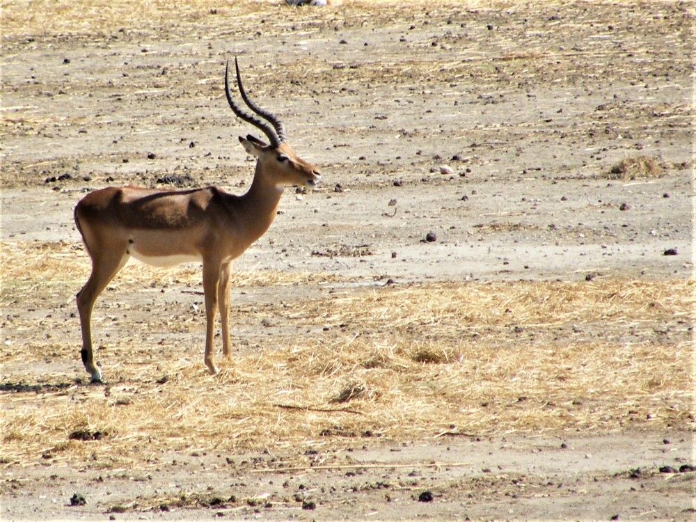 Photograph by Раиса Ламли