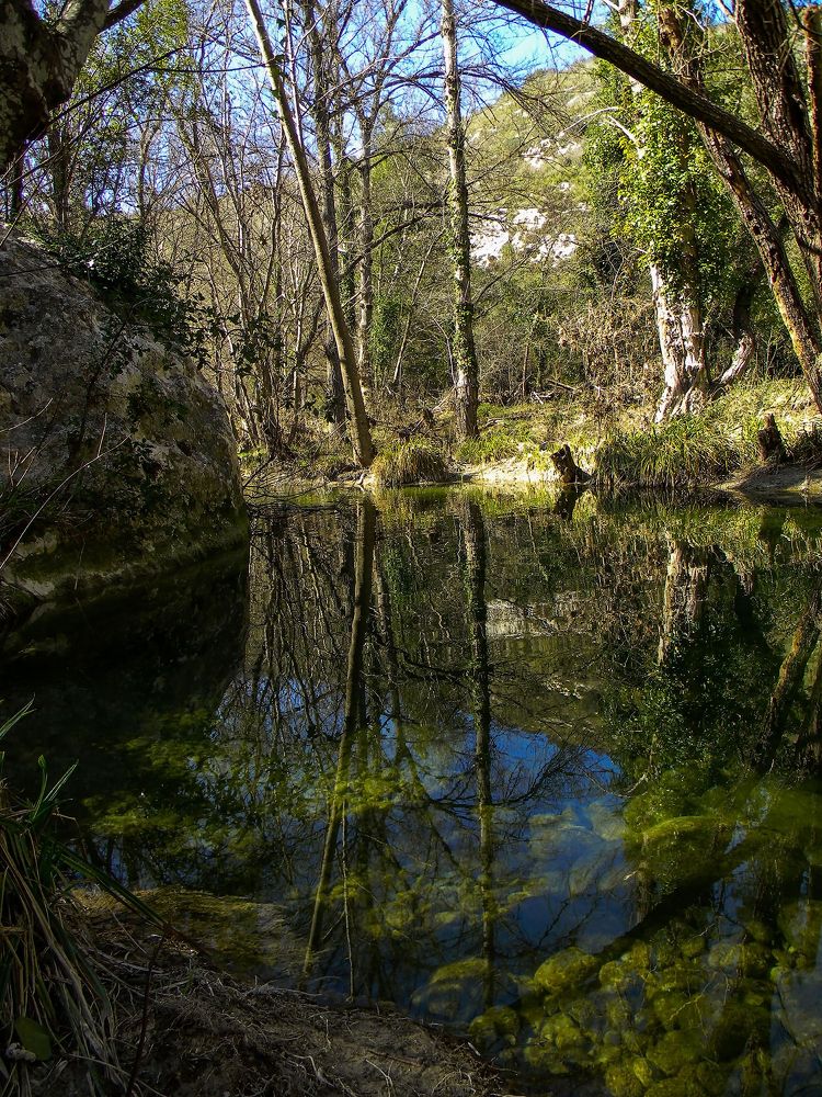 Photograph by Barbara Pindo