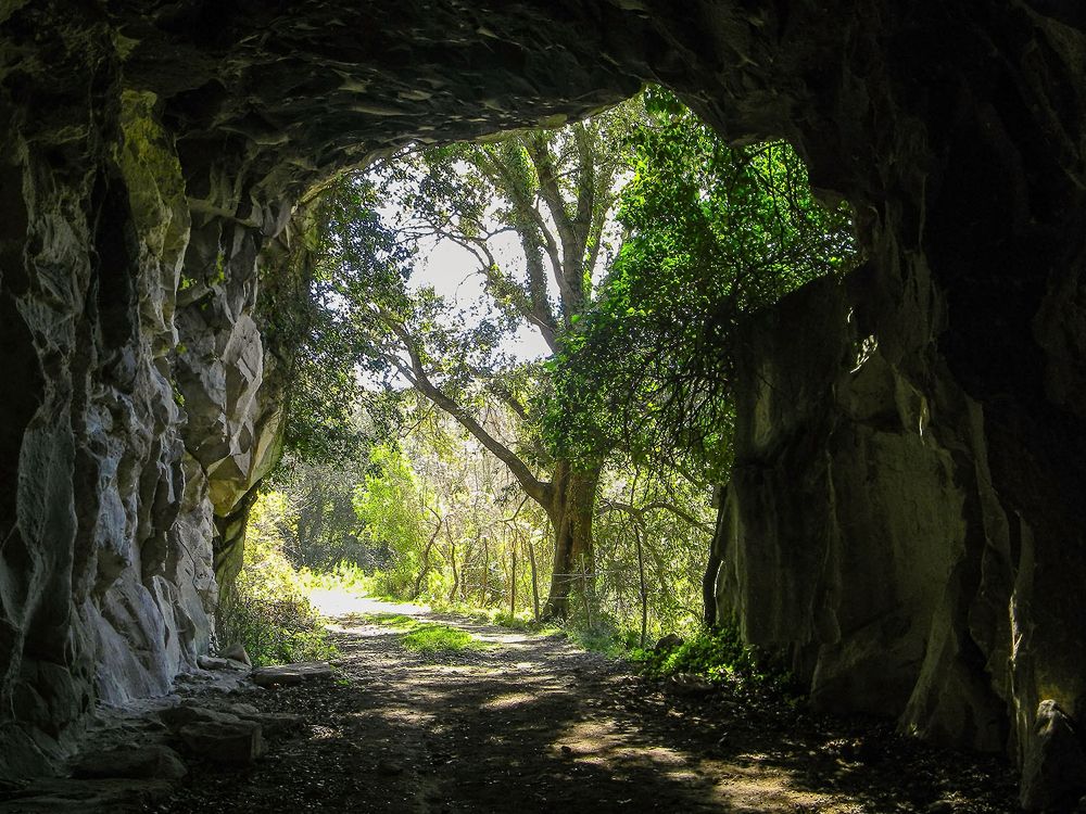 Photograph by Barbara Pindo