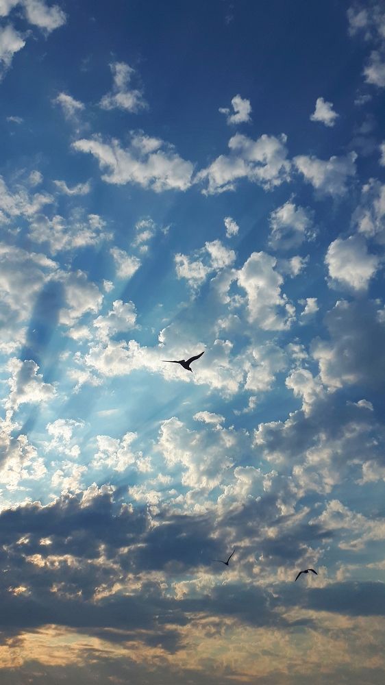 Photograph by Katerina Akalifa