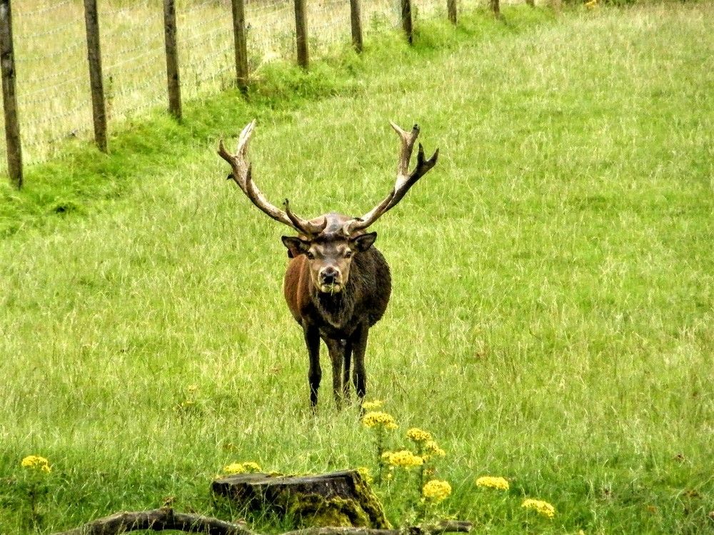 Photograph by Раиса Ламли