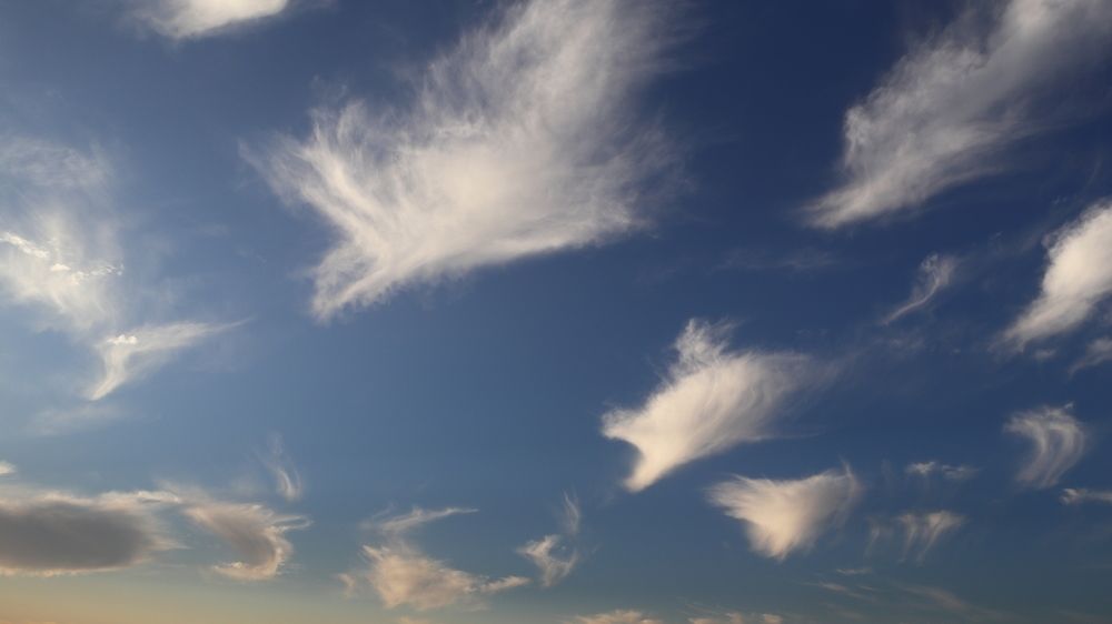 Словно перья