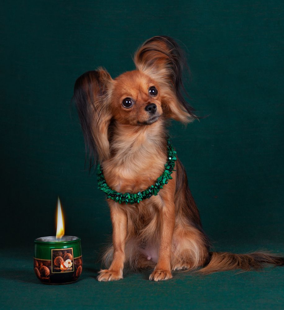 Photograph by Антонина Копытина