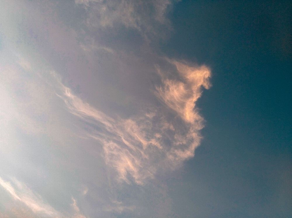 Photograph by Brian C. Guillen