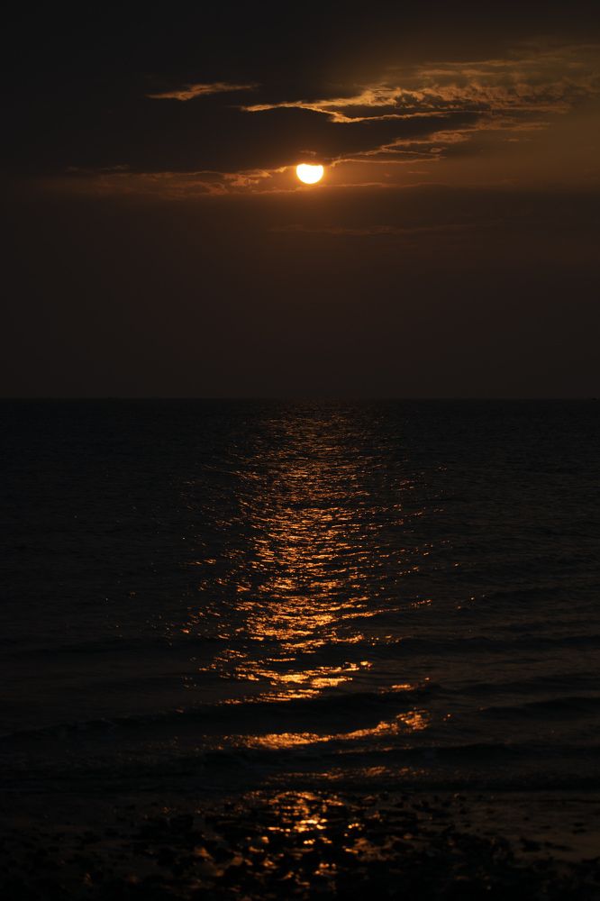 Photograph by Yukti Adhikary