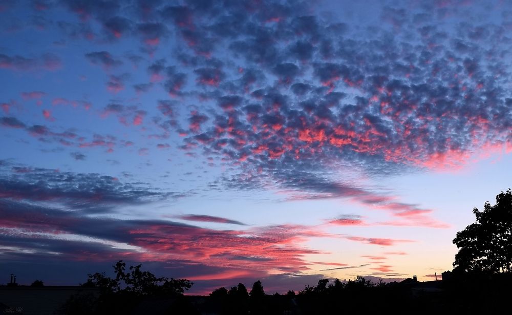 Фотография автора Razgulyaev Aleksandr