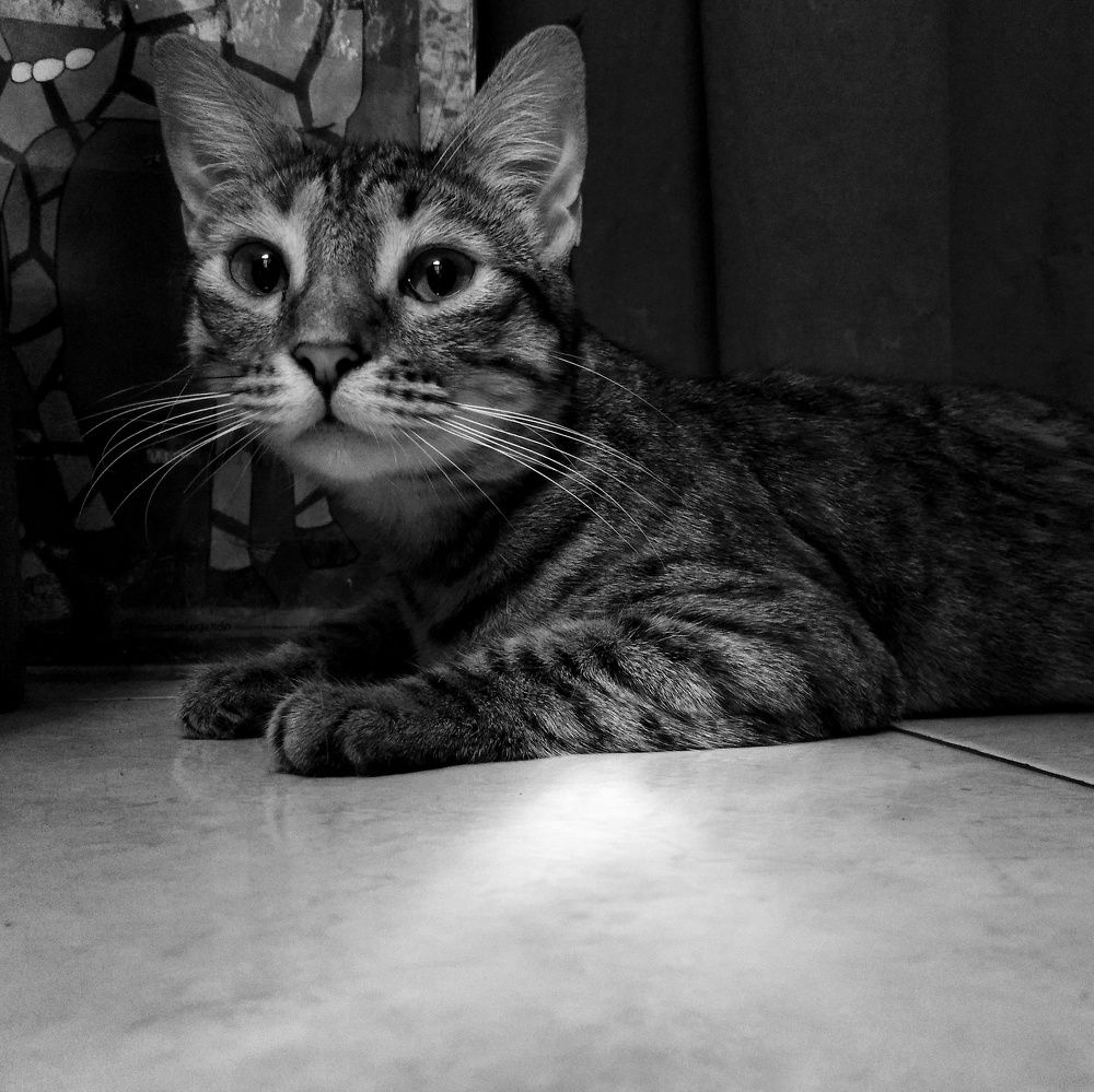 Photograph by Brian C. Guillen