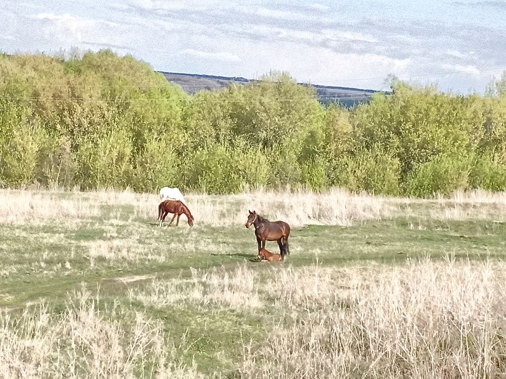 Photograph by Денис Геранькин