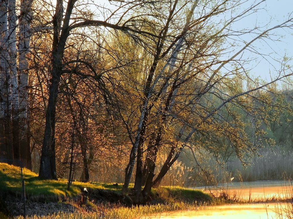 Фотография автора Роман Савоцкий