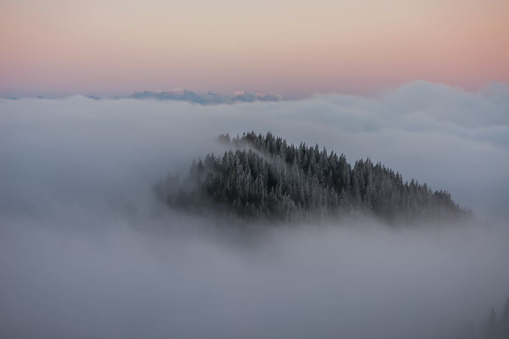 Photograph by Emanuel Andrei Buduleanu