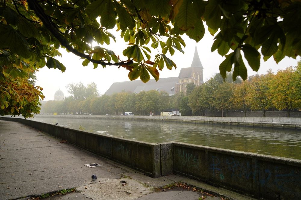Кафедральный собор. Главное культурное и историческое место Калининграда. Здесь похоронен Иммануил Кант. Место, где расположен единственный органный комплекс России и Музей имени великого философа.