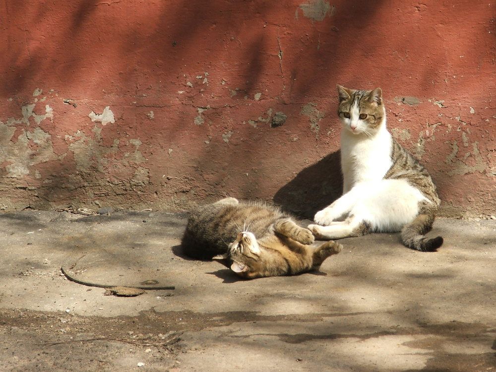 Фотография автора Владислава Андрюнина