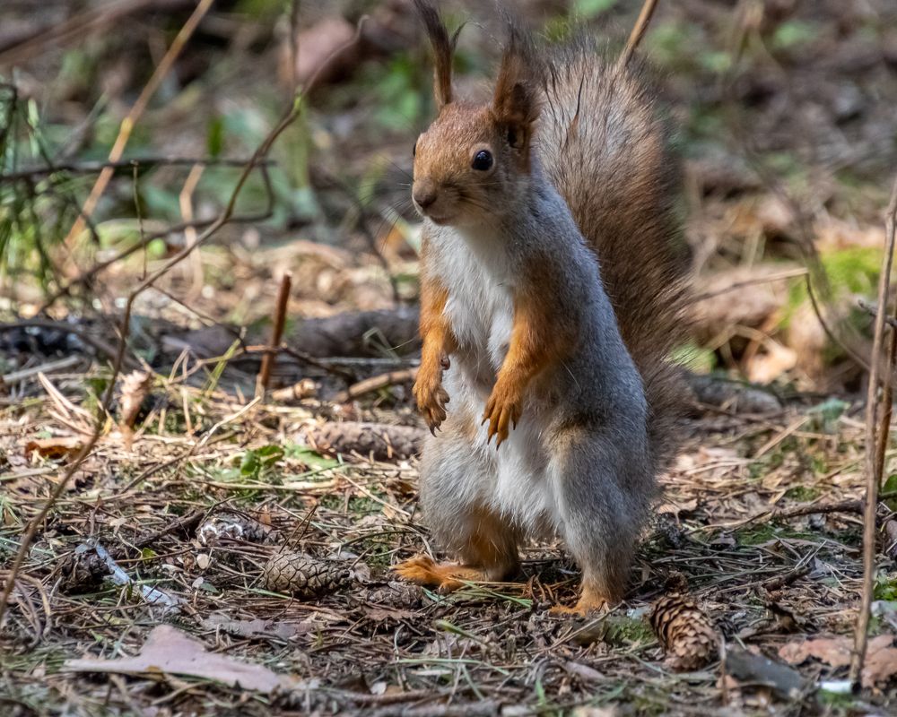 Photograph by Михаил Марсаков