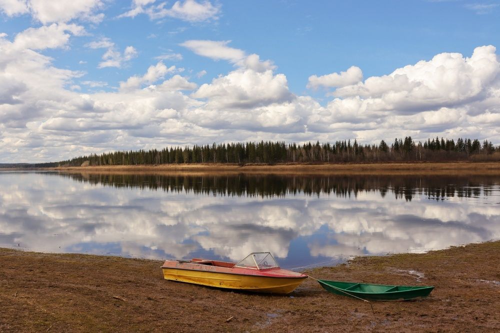Photograph by Марина Кощеева