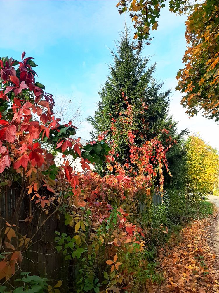 Photograph by Ирина