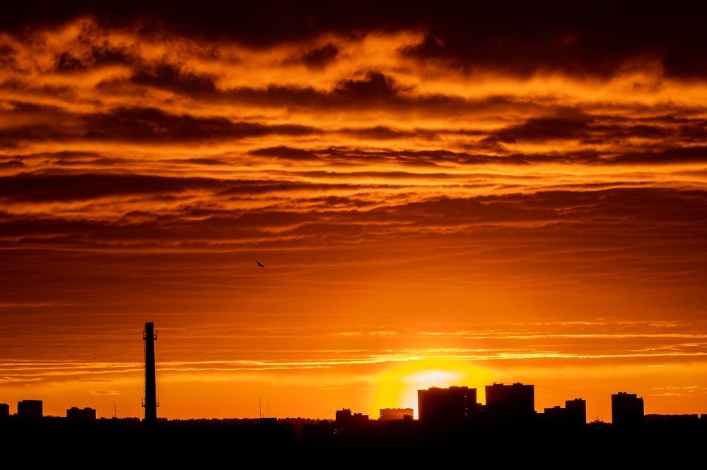 Photograph by Юлия Калугина