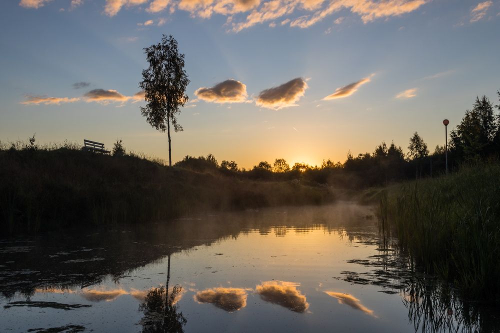 Photograph by Игорь Соя