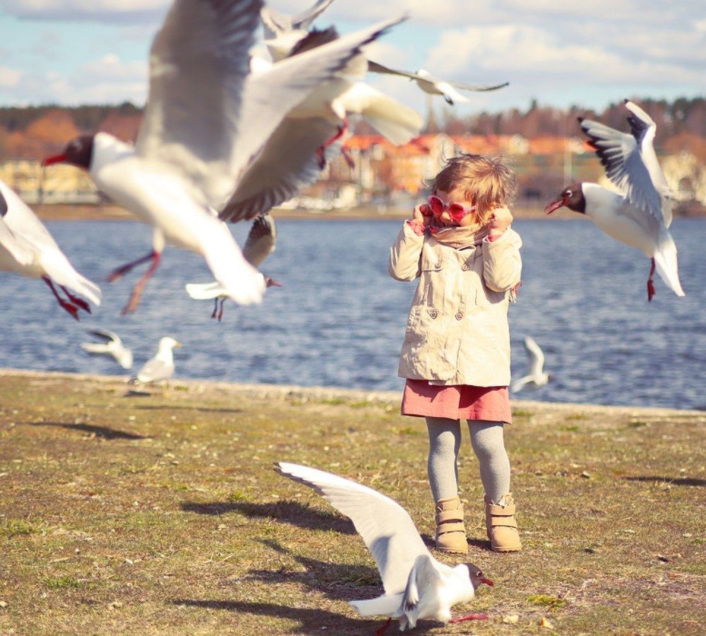 Photograph by Irina Alexeeva