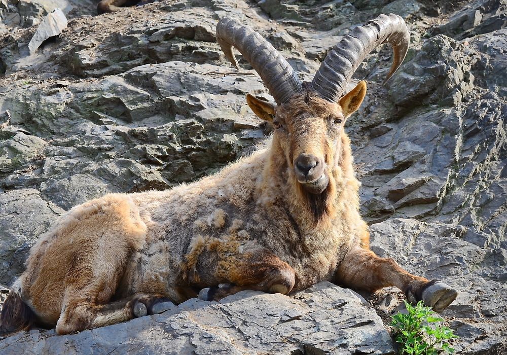 Photograph by Владимир Брагилевский