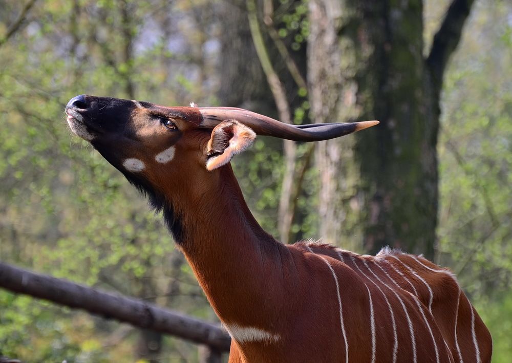 Photograph by Владимир Брагилевский