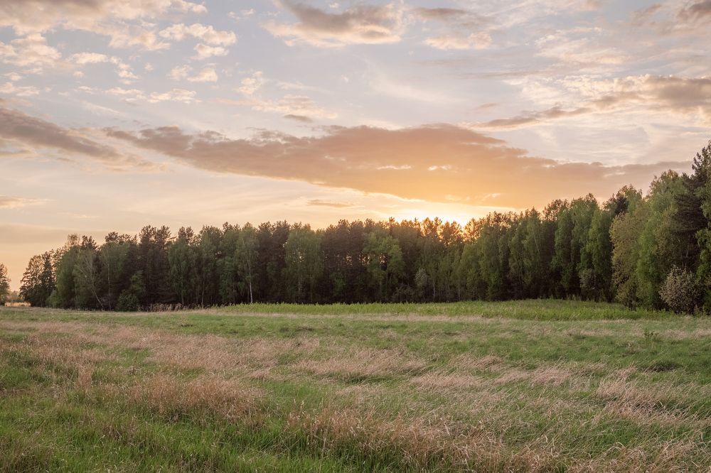 Photograph by Александр Нестеров