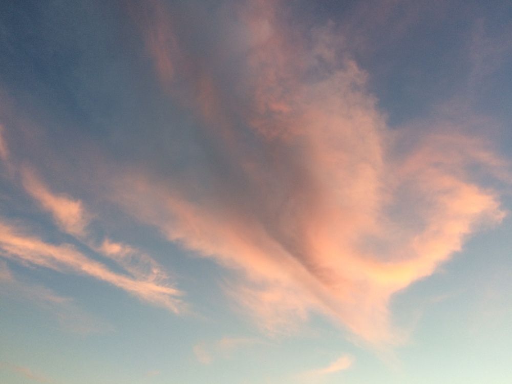 Облако-Ангел. город Санкт-Петербург