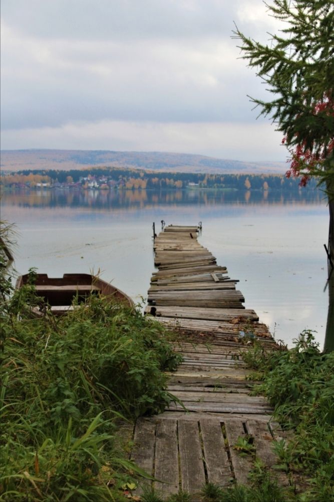 Photo #6134375