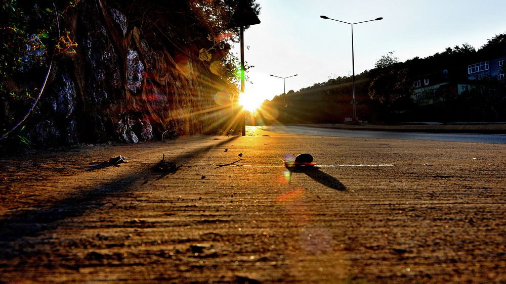 Photograph by Bekir Yesiltas