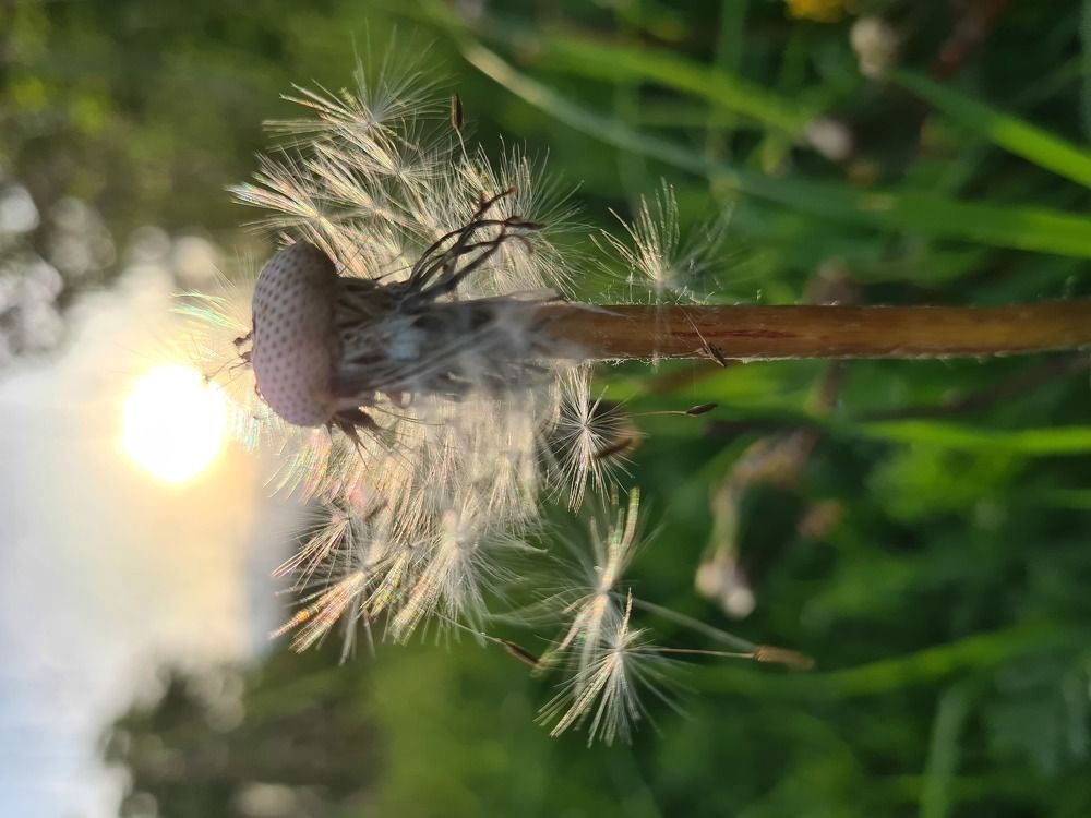 Photograph by Антонина Сухова