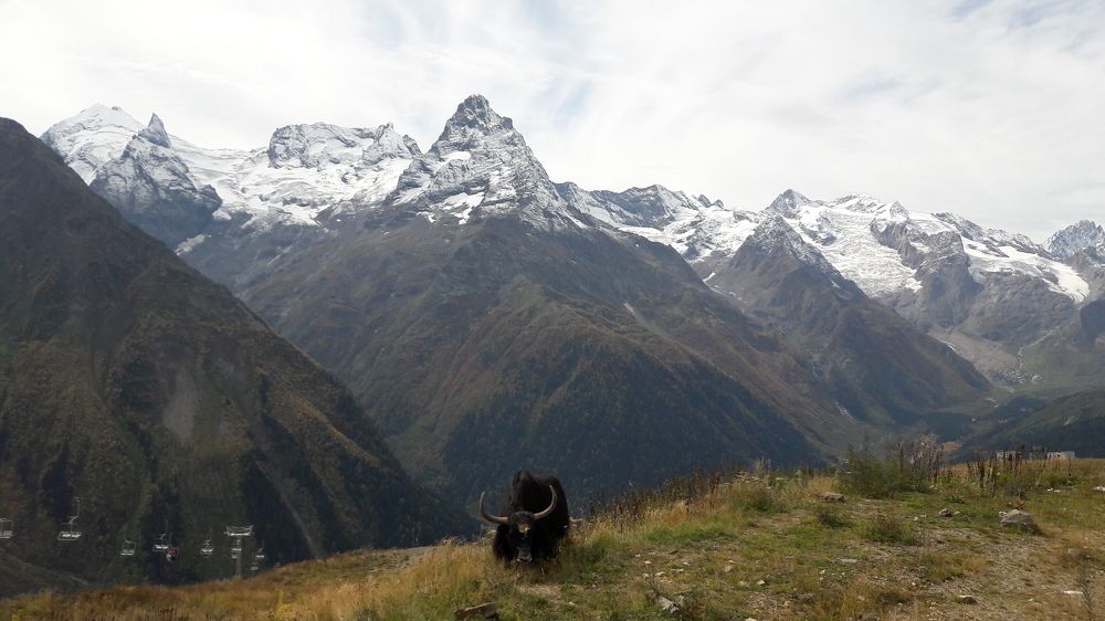 Photo #6134477