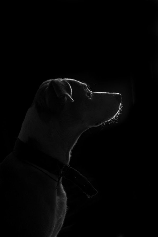 Photograph by Manav Chugh