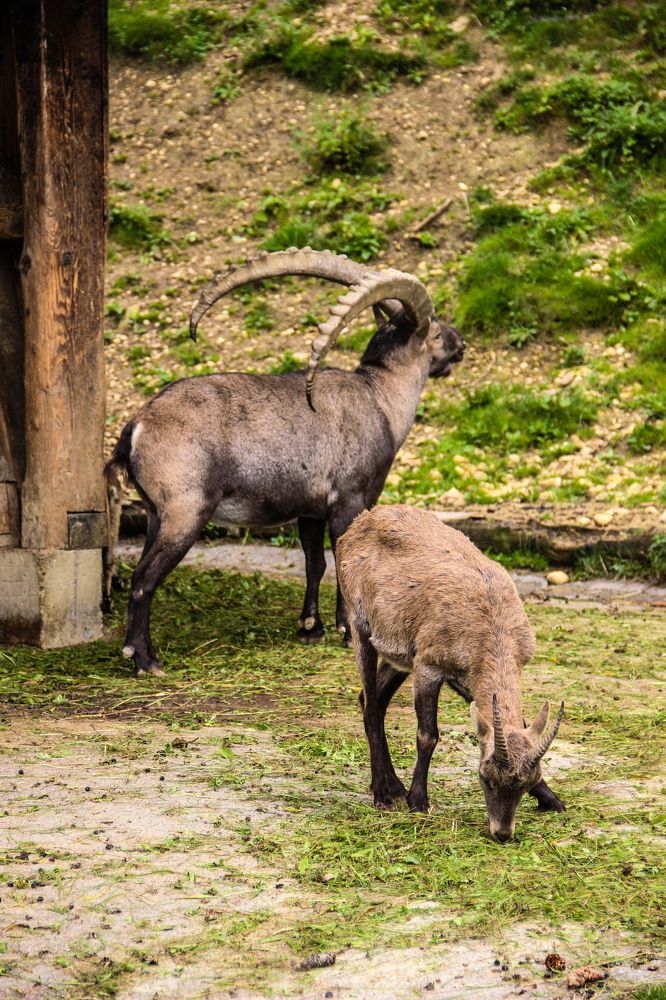 Photograph by Timur Korotkov