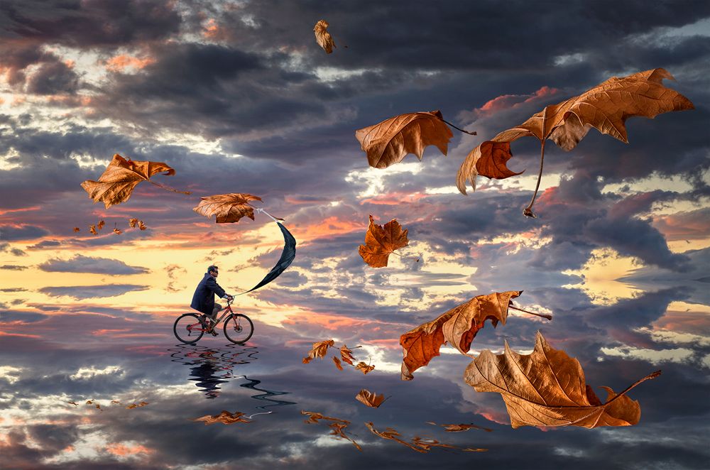 Wind rider's thoughts