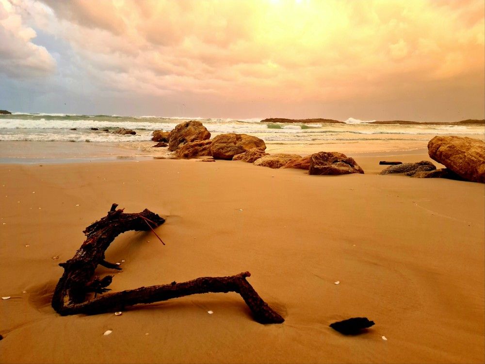 Photograph by יעל מנור