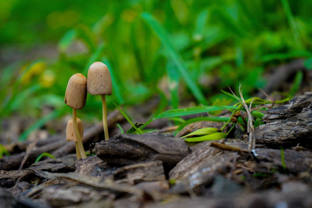 Фотография автора Юлия Вычужанина