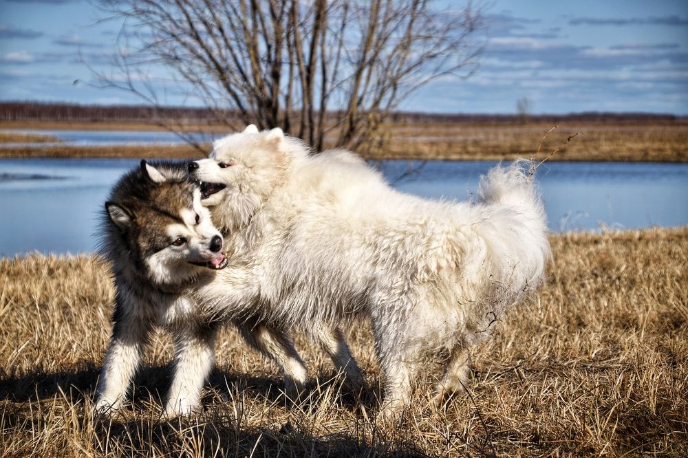 Фотография автора Анастасия Руднева