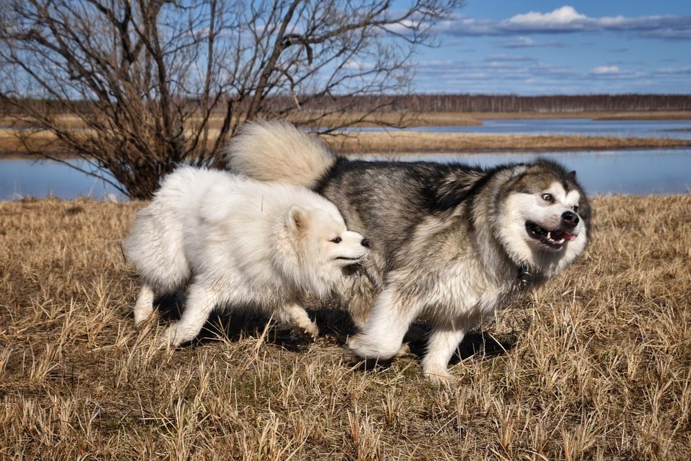 Фотография автора Анастасия Руднева