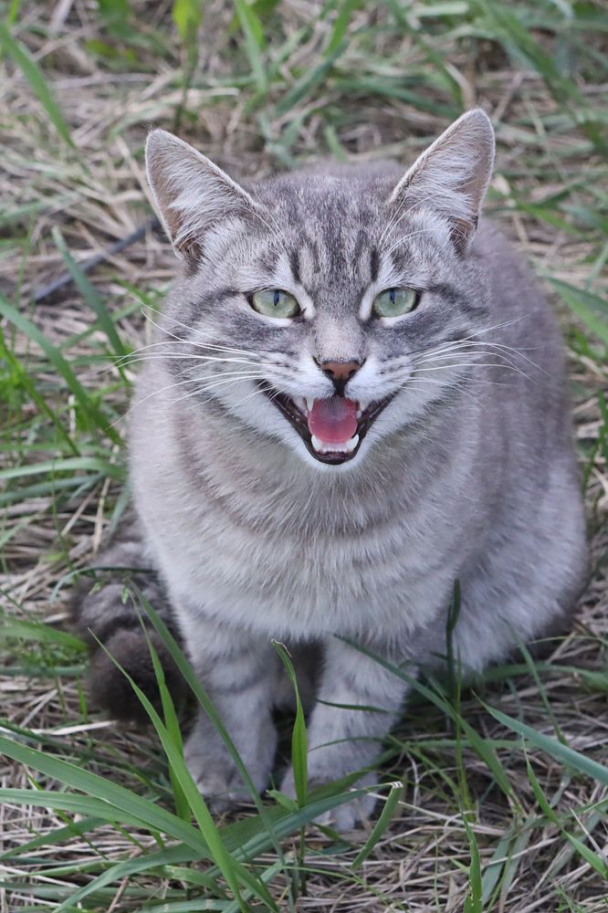 Photograph by Марина Стротова