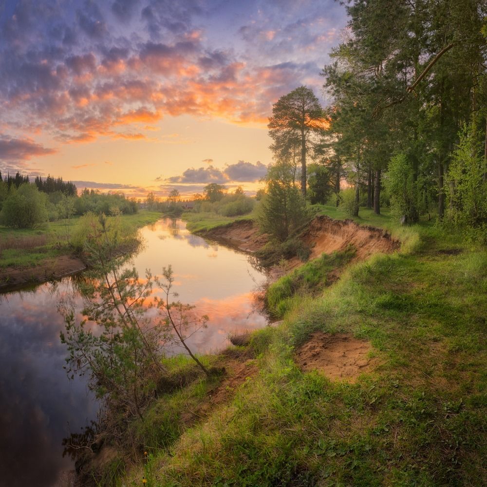 Фотография автора Дмитрий Медянцев