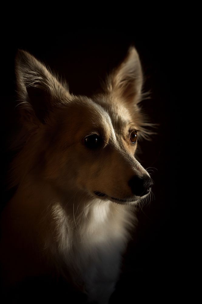 Photograph by Людмила Потапочкина