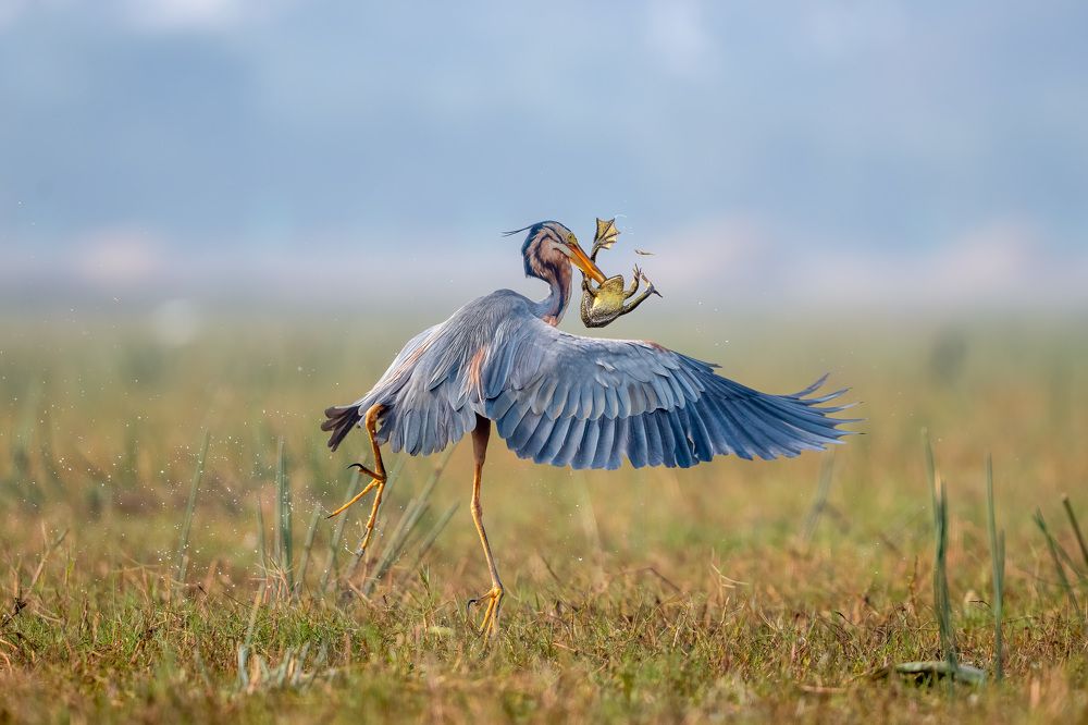 Photograph by Santosh Mahalik