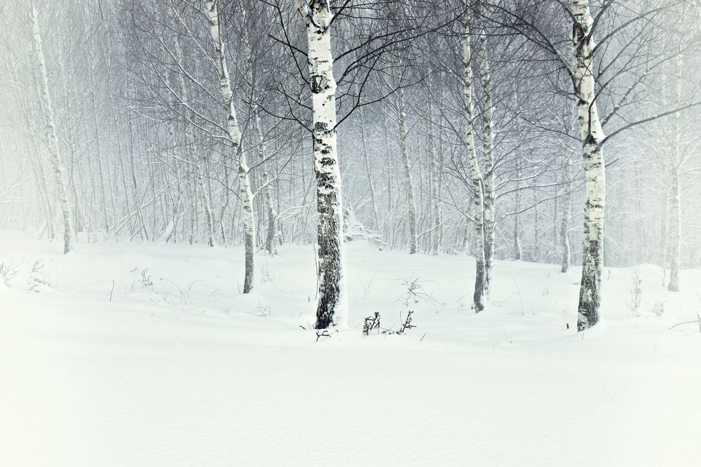 Photograph by Andreia Nicoleta Dobritoiu