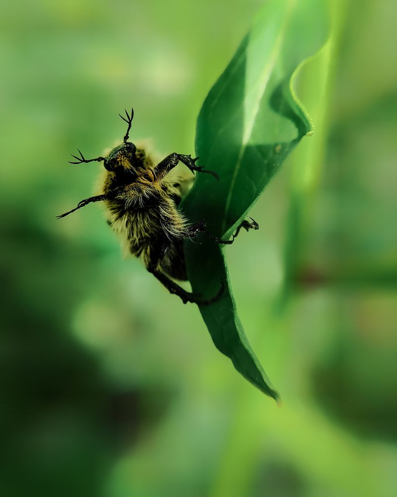 Photograph by Светлана Смирнова