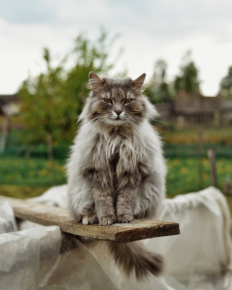 Photograph by Сергей Протасов