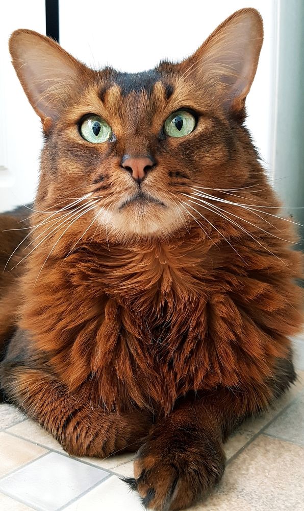 Photograph by Инга Сабанова