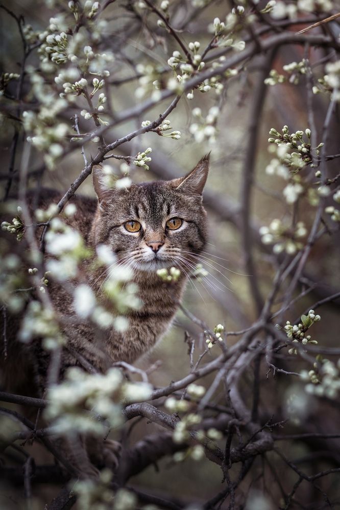 Photograph by Людмила Потапочкина