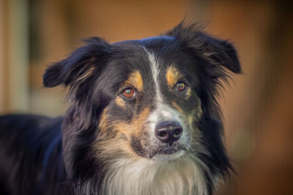 Photograph by Michael Mettier