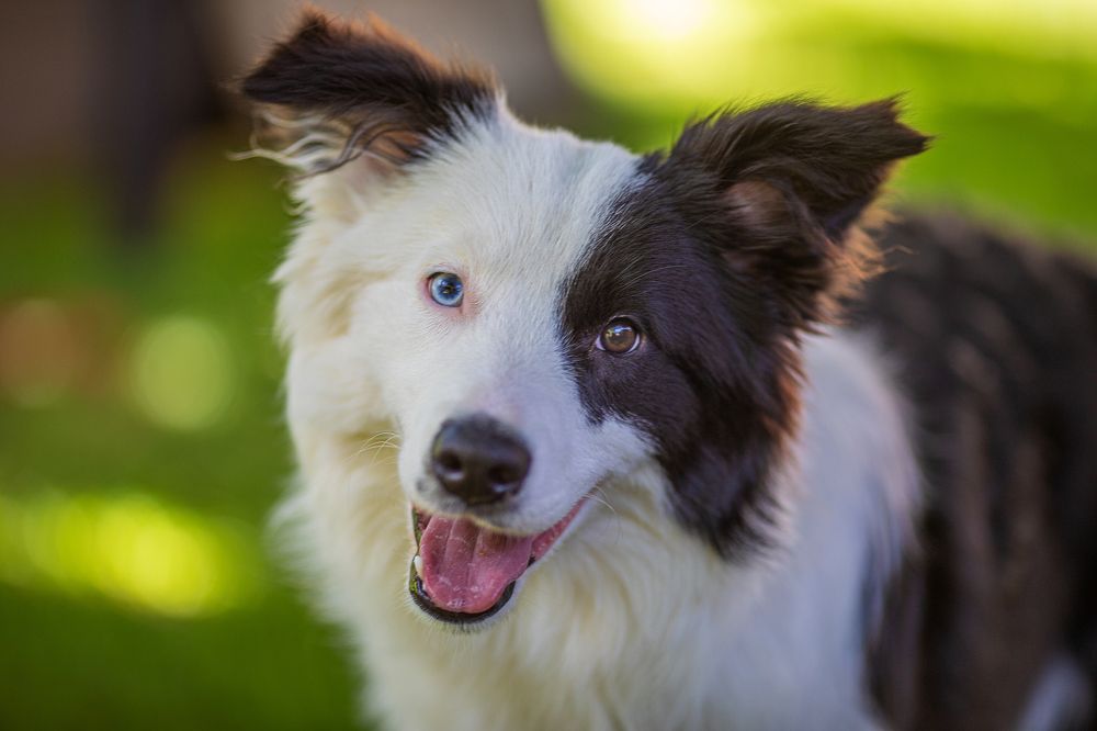 Photograph by Michael Mettier