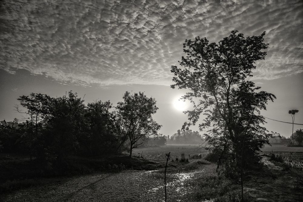 Фотография автора Sayan Mondal