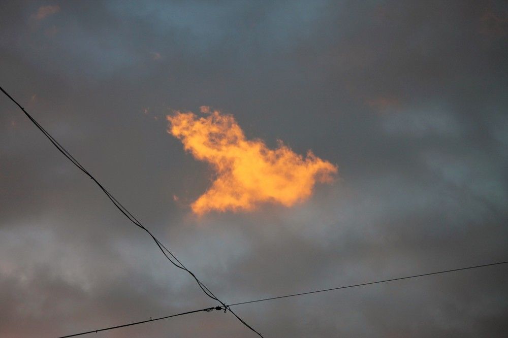 Photograph by Tinatin Gviniashvili-Chkhikvishvili